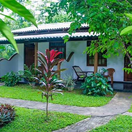Nimsara Lodge Sigiriya Bagian luar foto