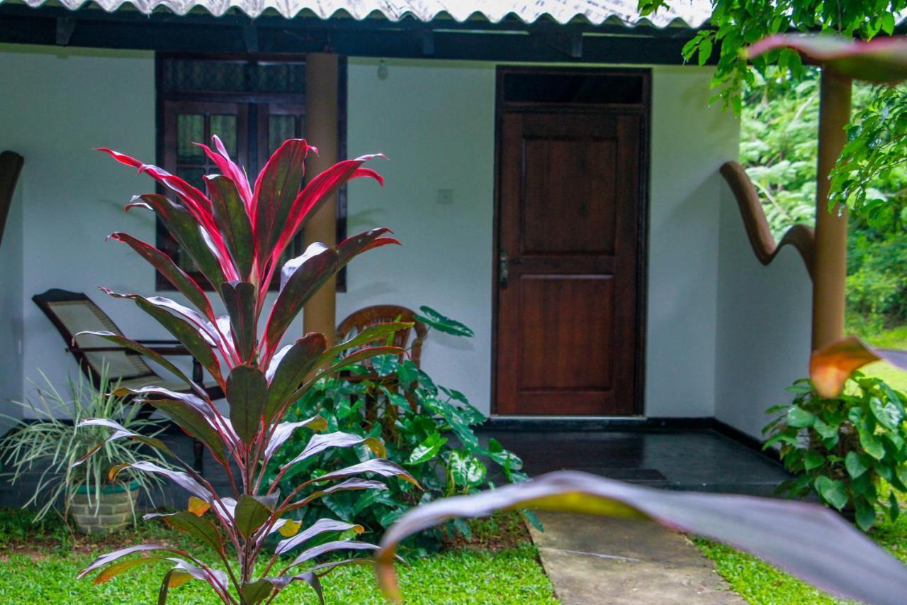 Nimsara Lodge Sigiriya Bagian luar foto