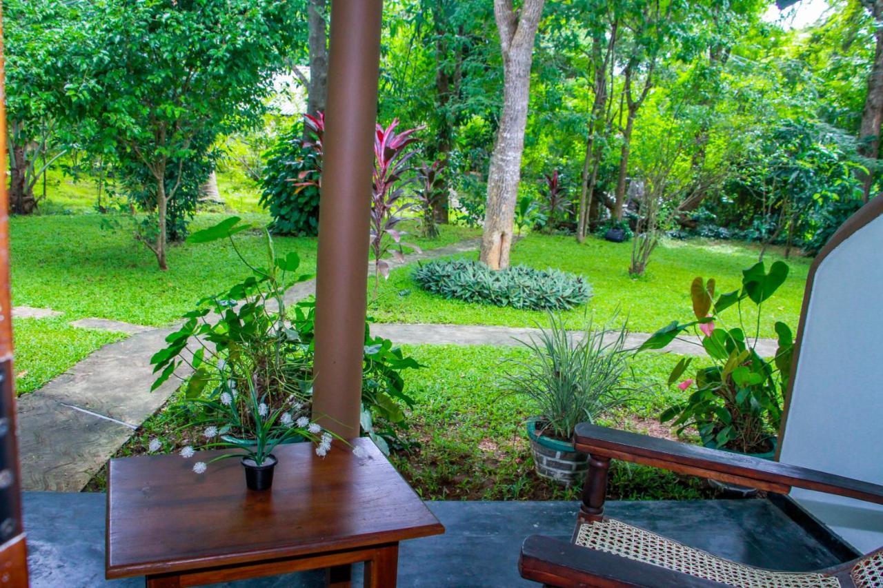 Nimsara Lodge Sigiriya Bagian luar foto