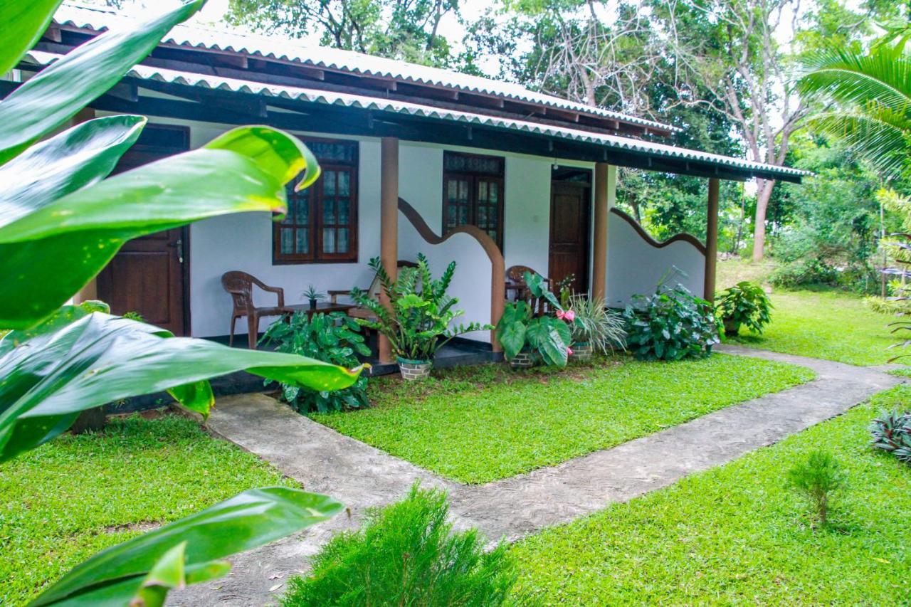 Nimsara Lodge Sigiriya Bagian luar foto