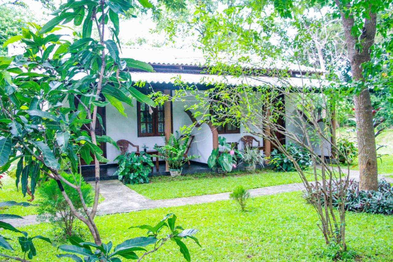 Nimsara Lodge Sigiriya Bagian luar foto